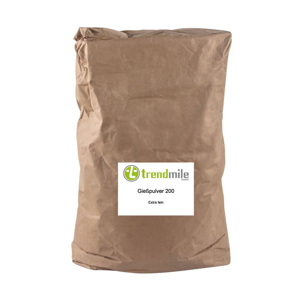 Raysin 200 Gießpulver 4Kg